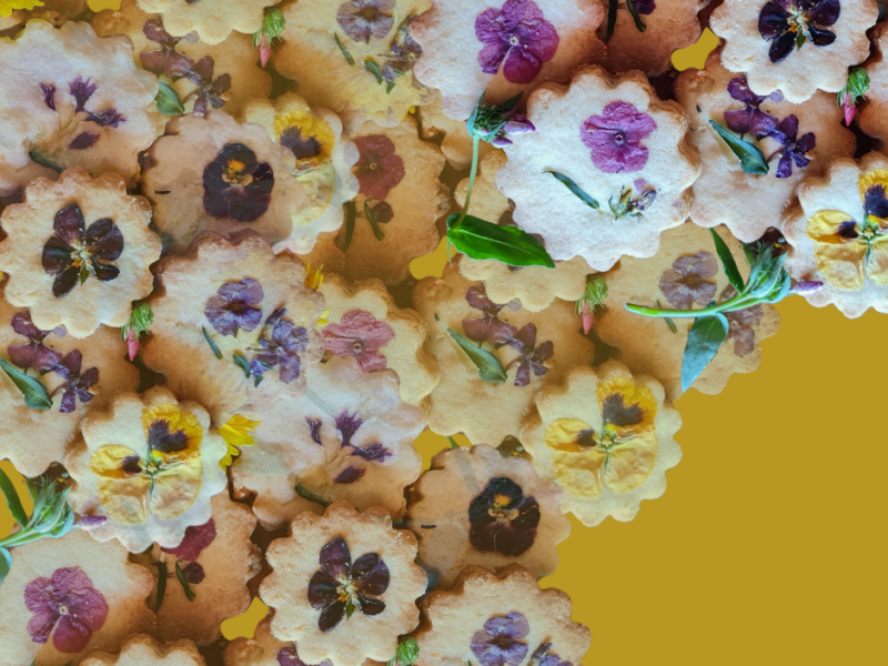 Flores Comestíveis